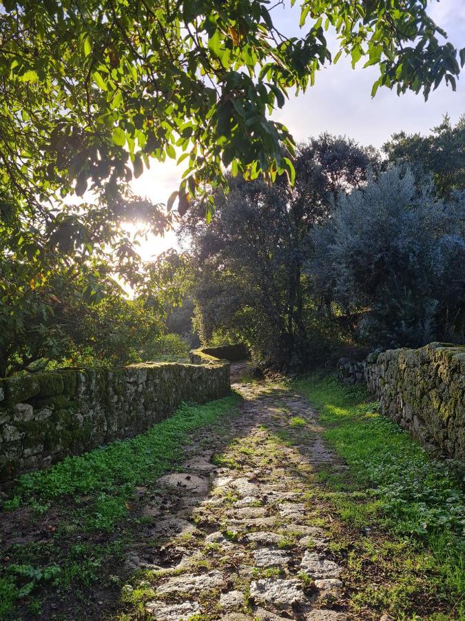 Quinta De Sao Pedro De Vir-A-Corca Em Monsanto Bed and Breakfast Esterno foto