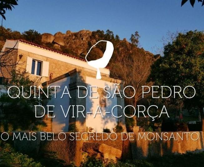 Quinta De Sao Pedro De Vir-A-Corca Em Monsanto Bed and Breakfast Esterno foto